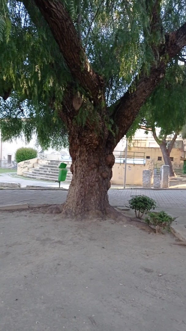 Parco Matteotti