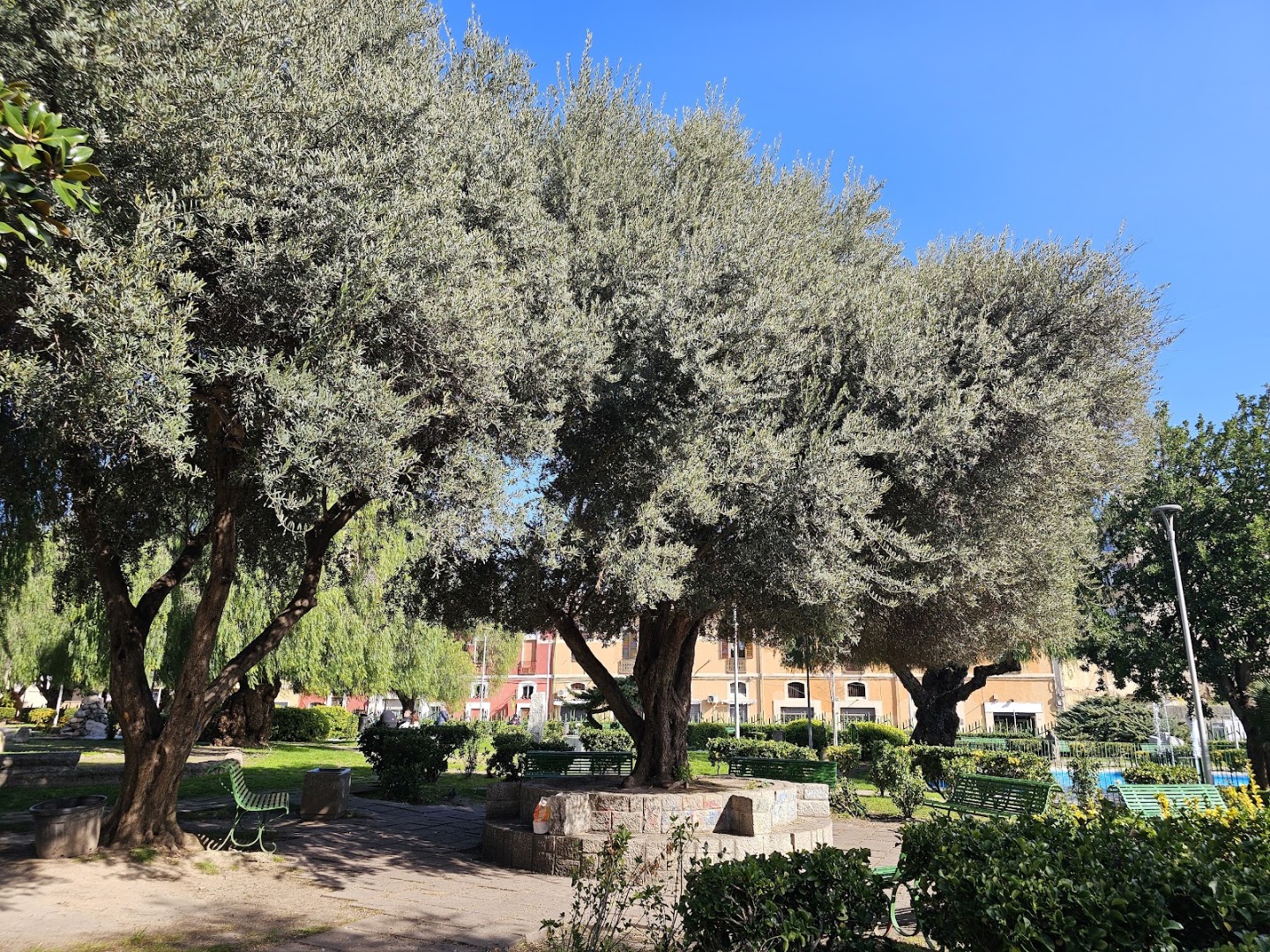 Parco Matteotti