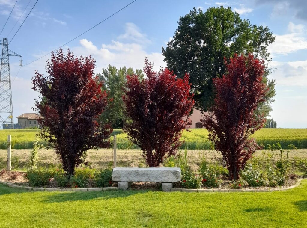 Parco "Medipark", San Felice sul Panaro