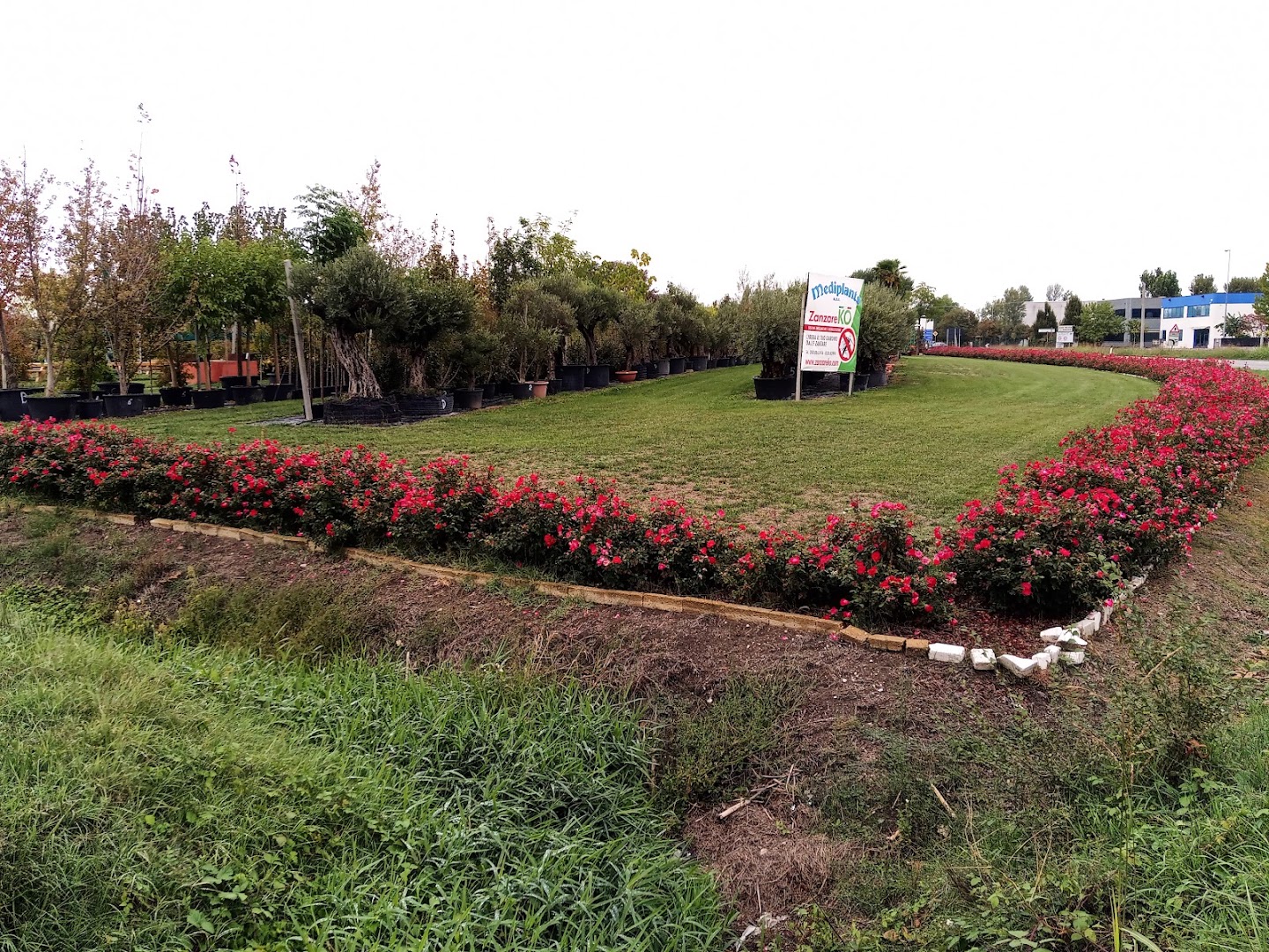 Parco "Medipark"
