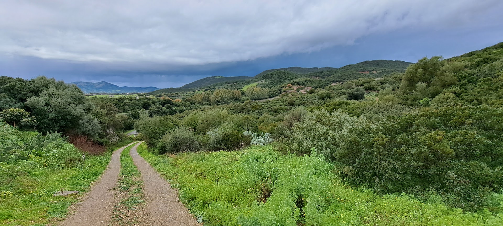 Parco Monte Atzei