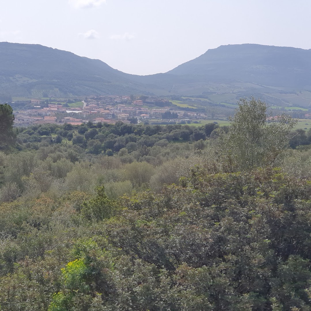 Parco Monte Atzei