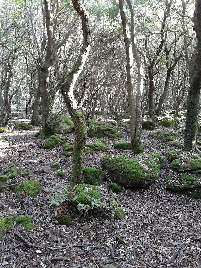 Parco Naturale del Monte Arci