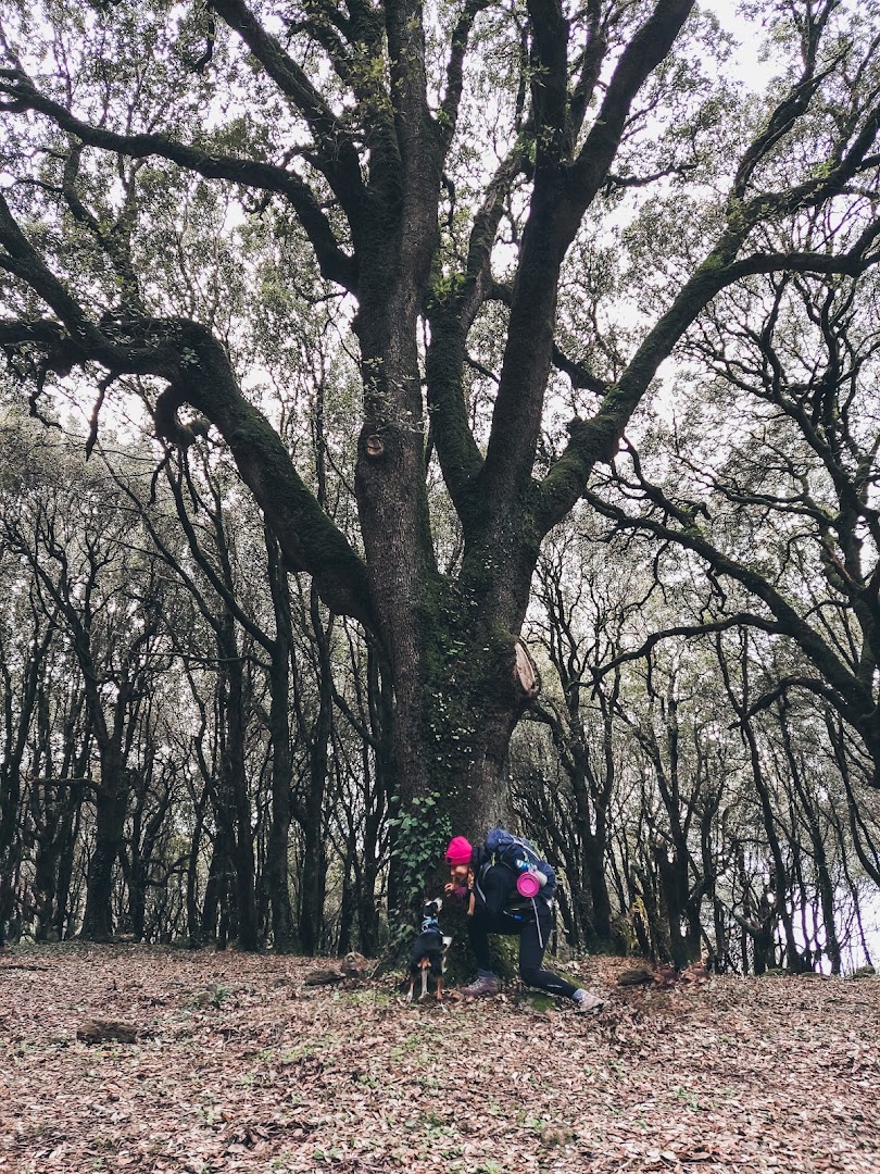 Parco Naturale del Monte Arci