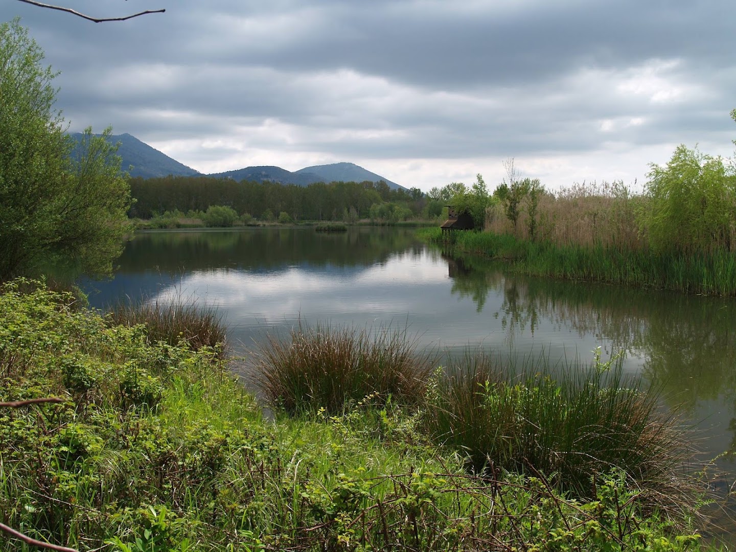 Parco Naturale di Pantanello, Cisterna di Latina