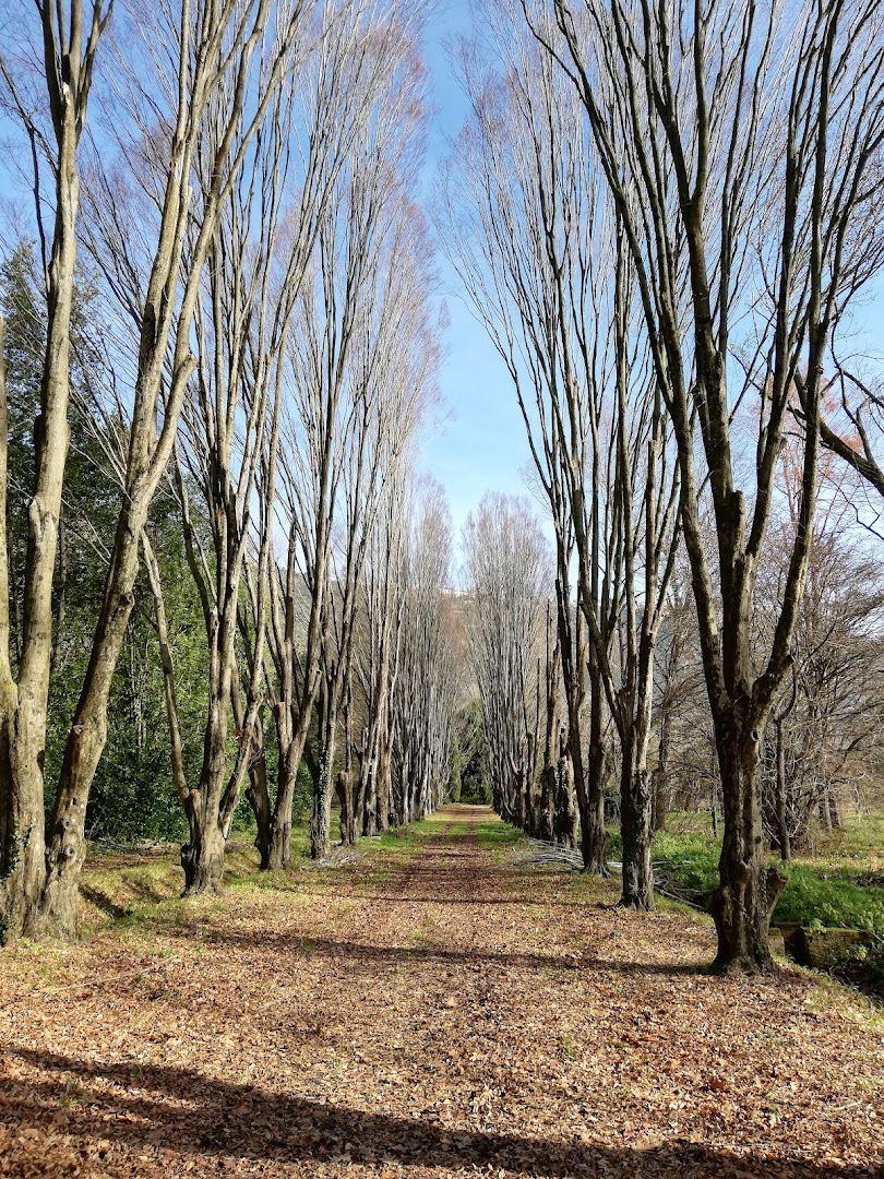 Parco Naturale di Pantanello