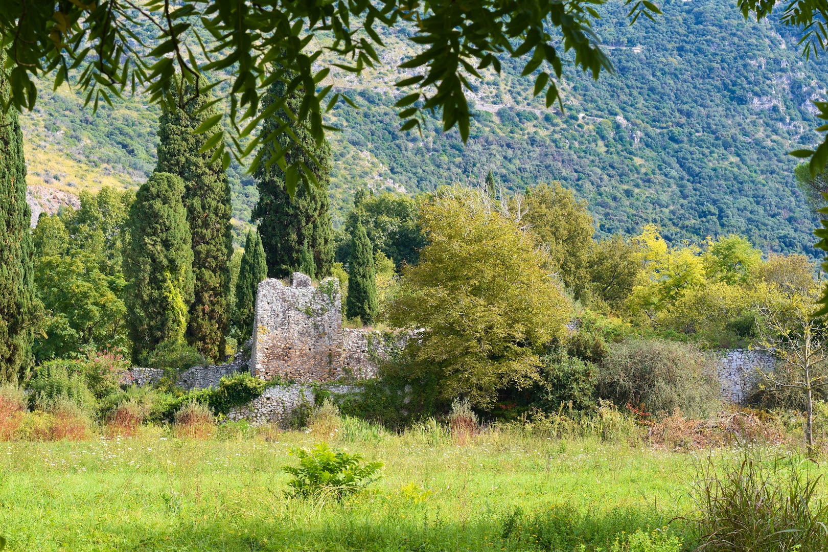 Parco Naturale di Pantanello