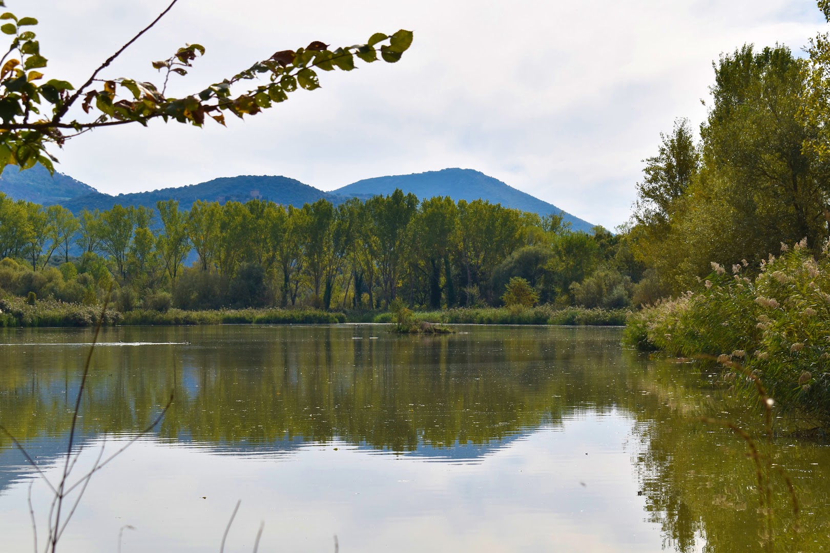 Parco Naturale di Pantanello