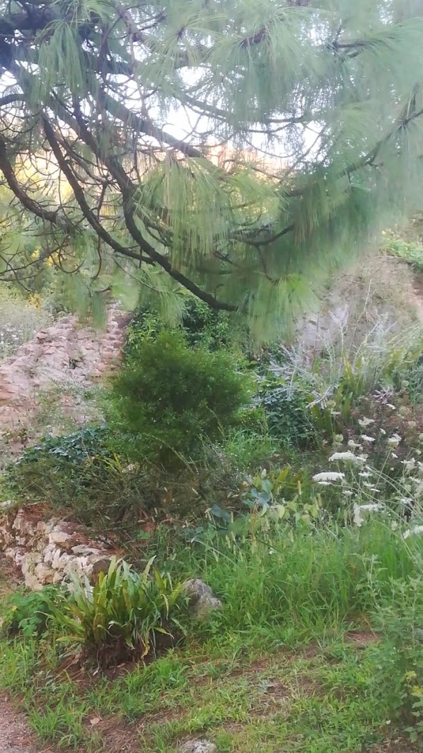 Parco Naturale di Pantanello