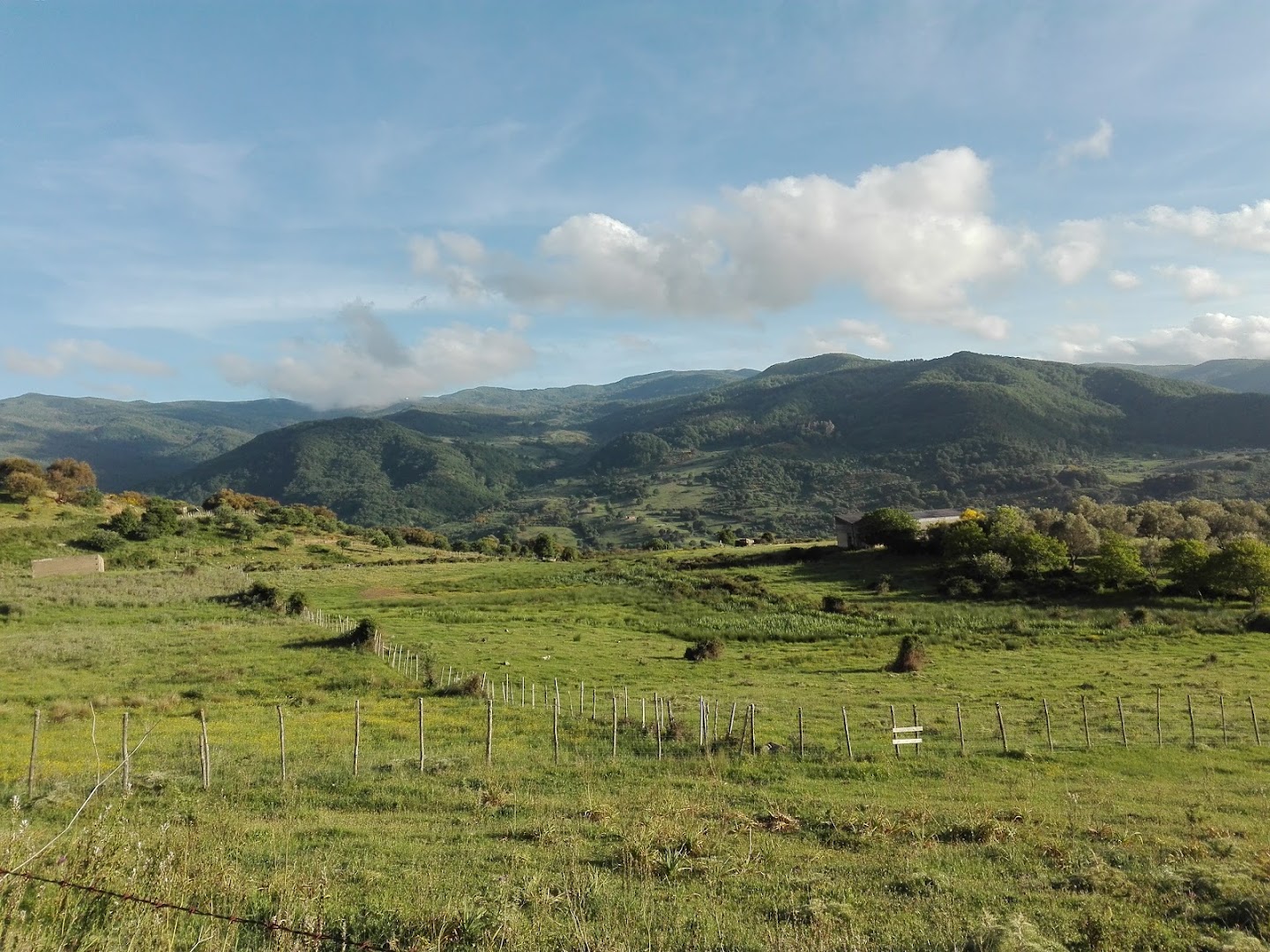 Parco Naturale Regionale dei Nebrodi
