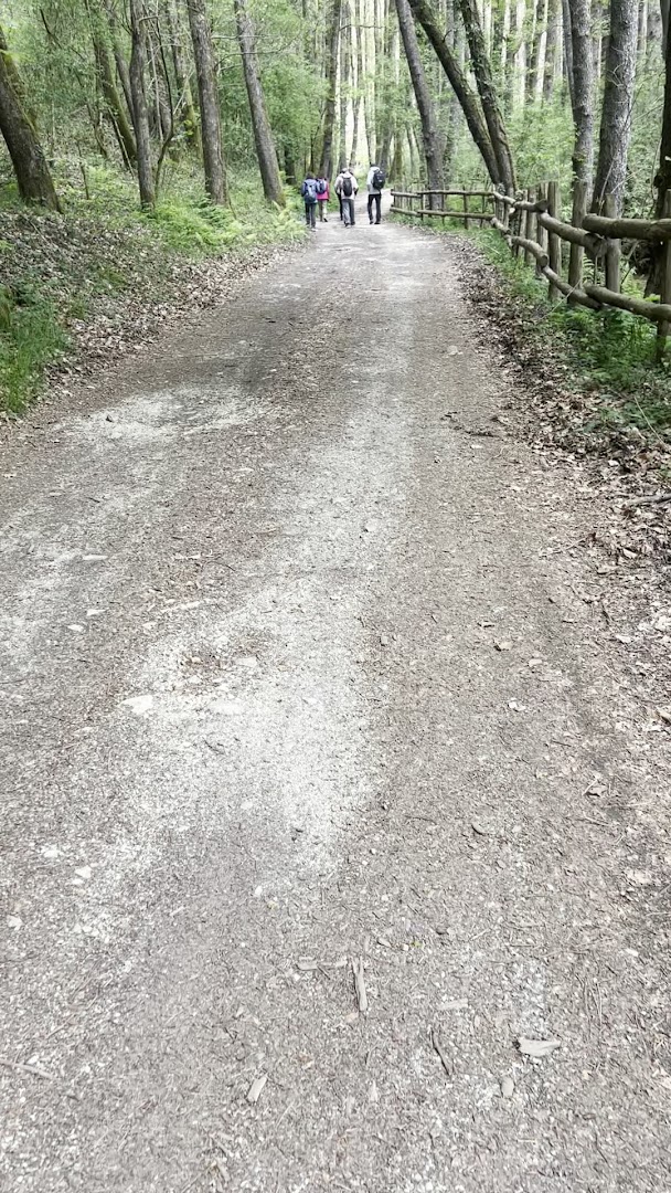Parco Naturale Regionale delle Serre, Serra San Bruno