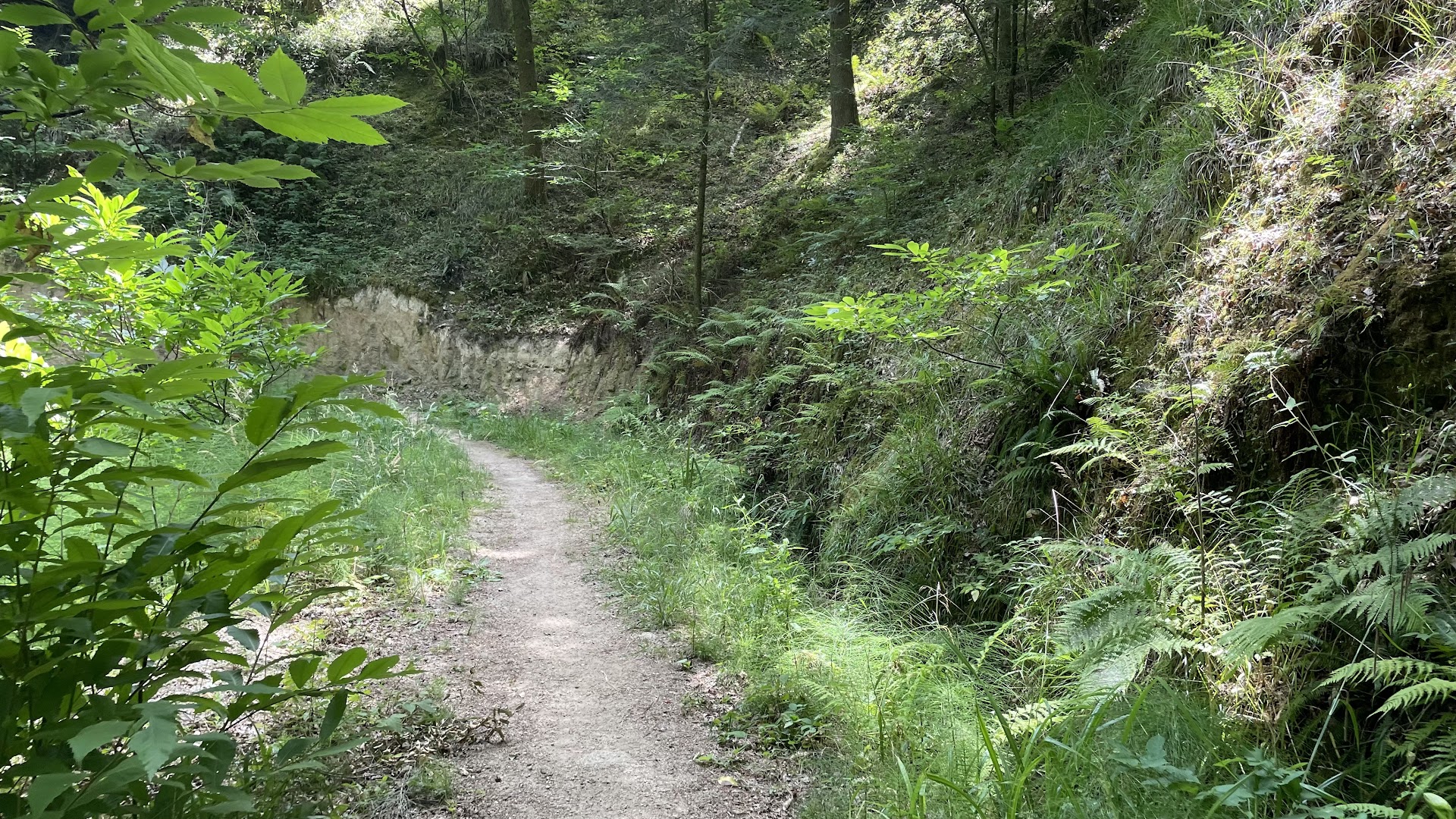 Parco Naturale Regionale delle Serre