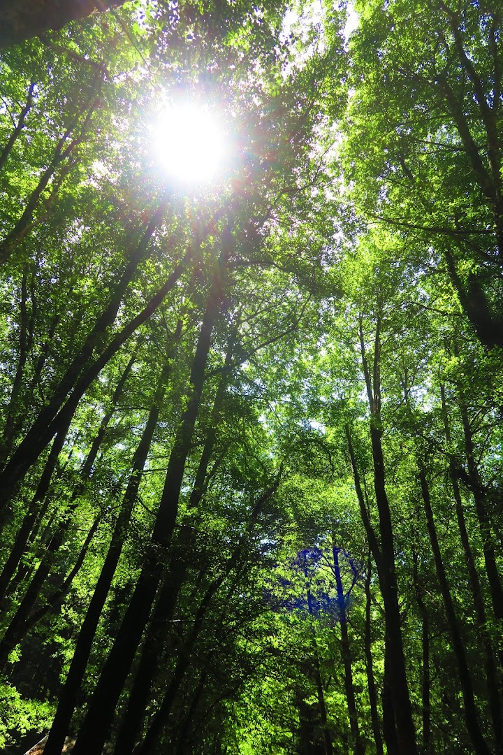 Parco Naturale Regionale delle Serre