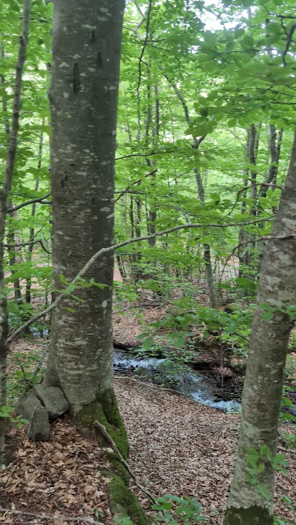 Parco orecchiella, San Romano in Garfagnana
