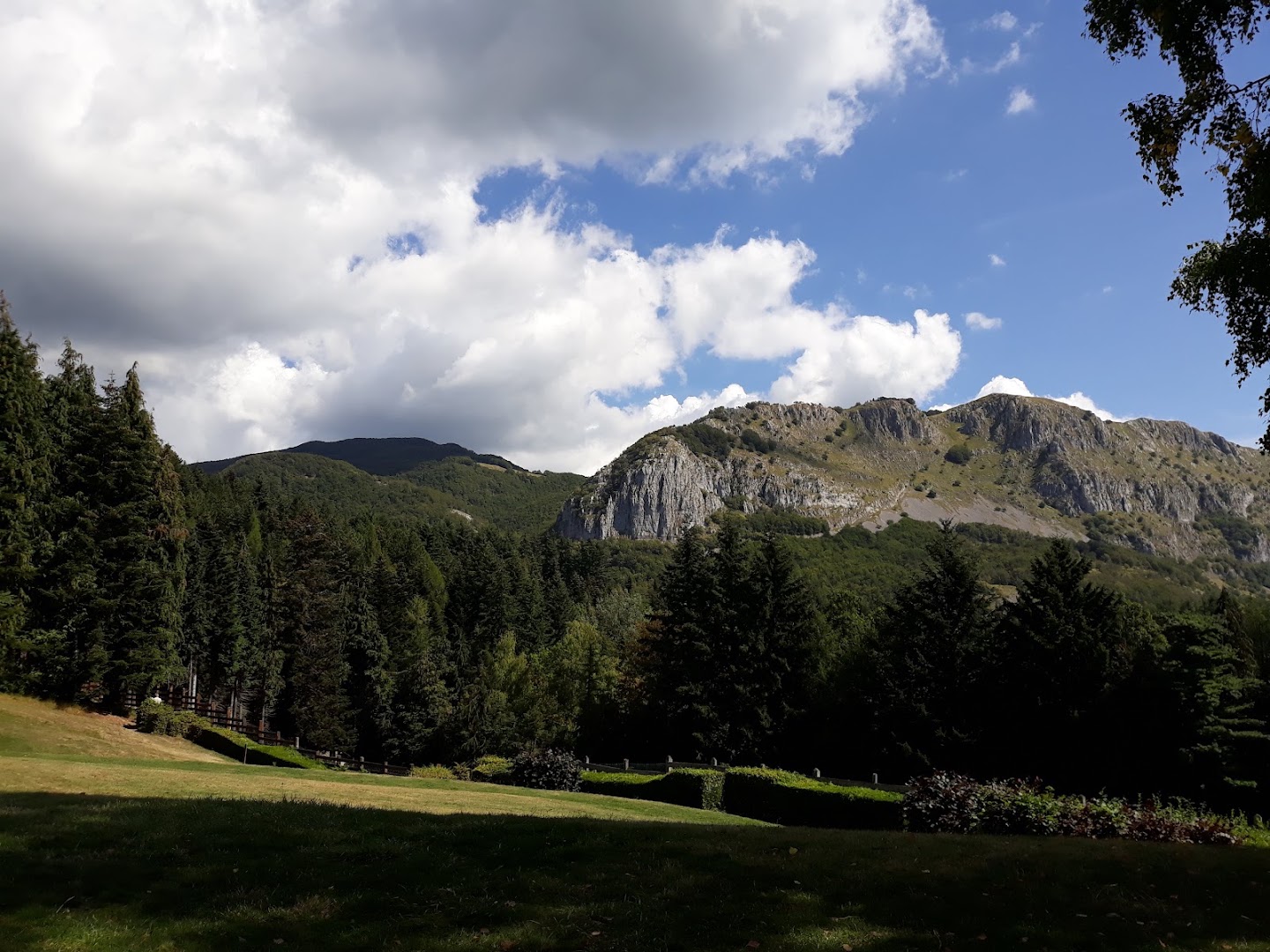 Parco orecchiella