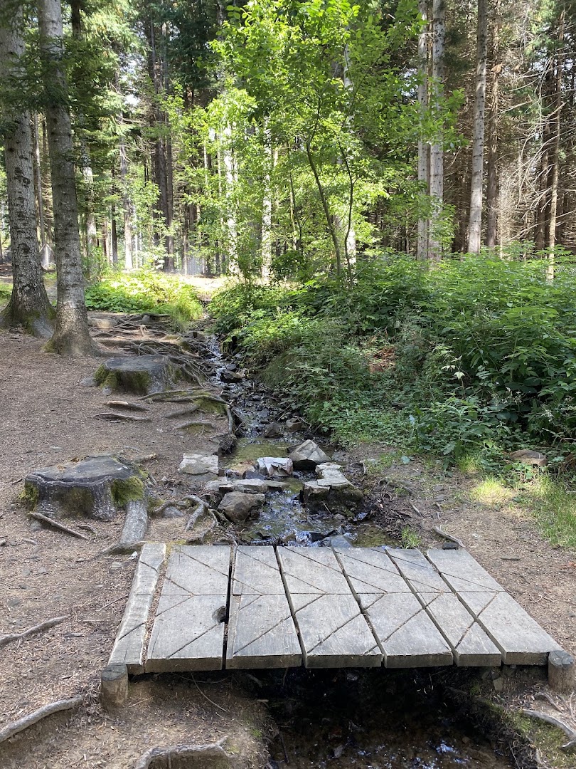 Parco orecchiella