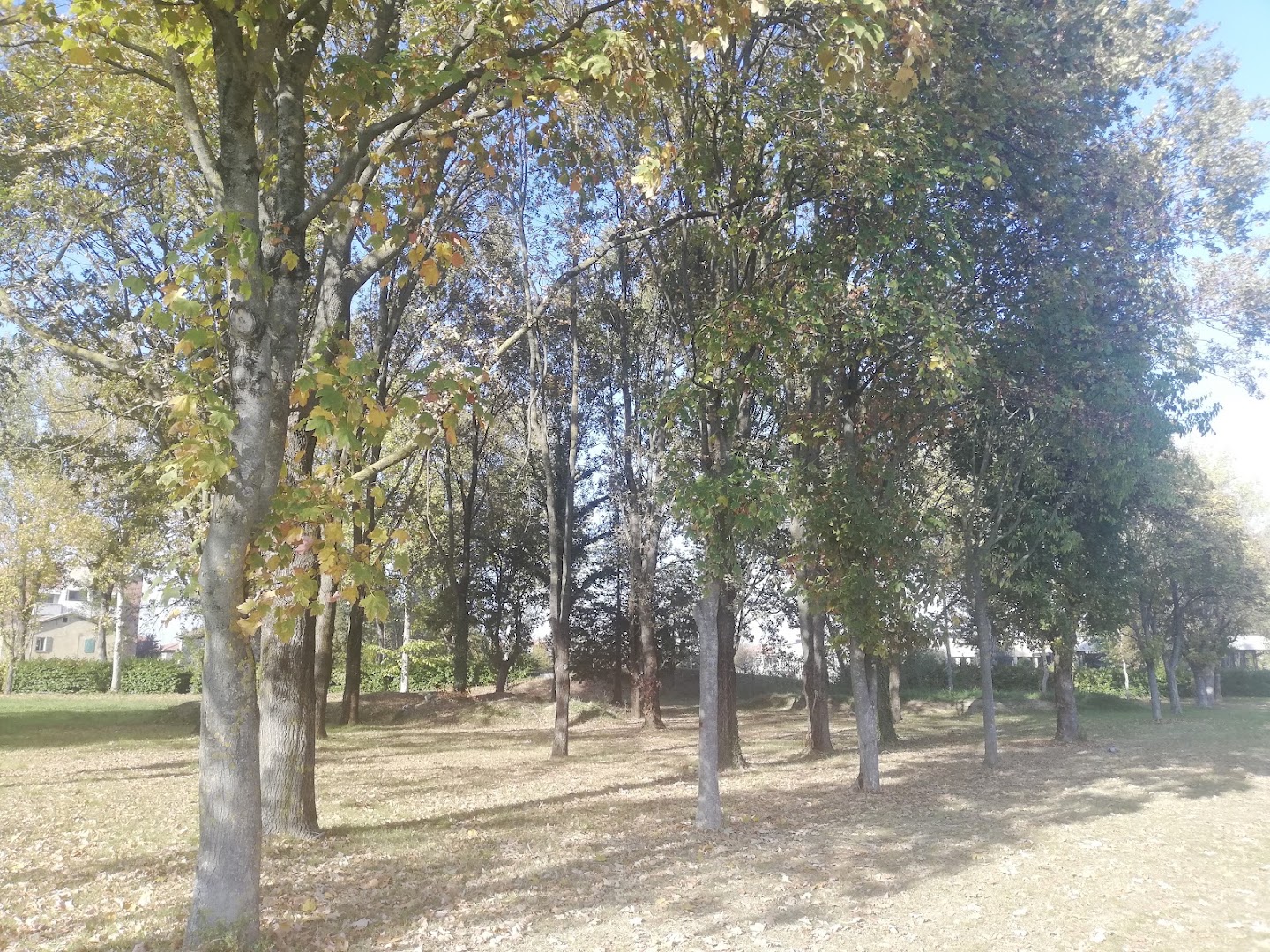 Parco Otello Buscherini, Forlì