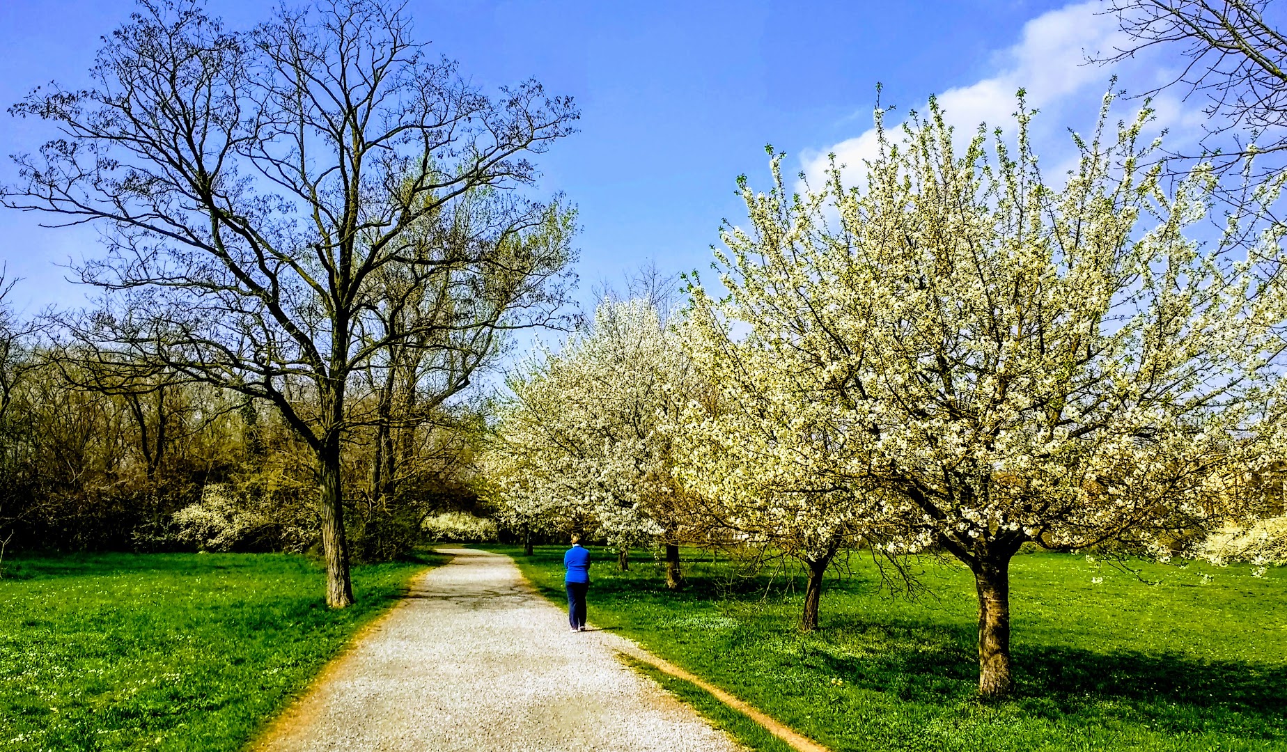 Parco Papa Giovanni Paolo II (Parco della Galleana)