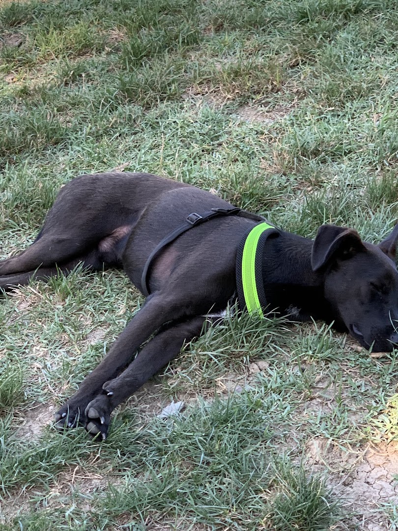 Parco Per Cani