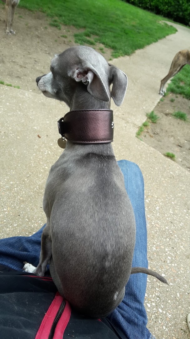 Parco Per Cani