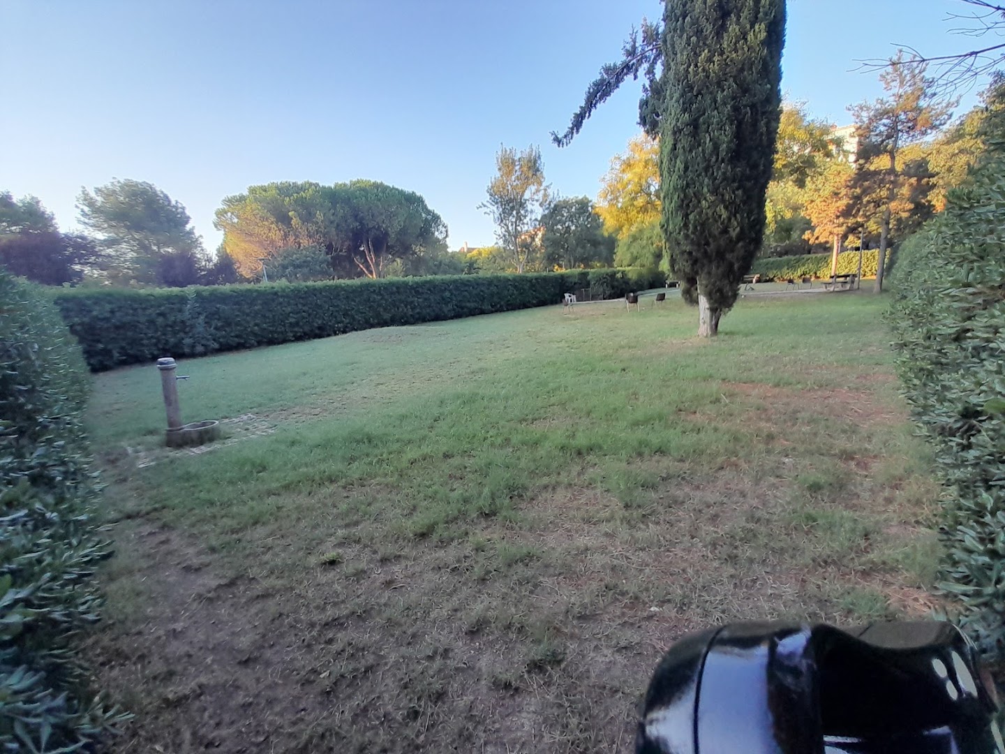 Parco Per Cani