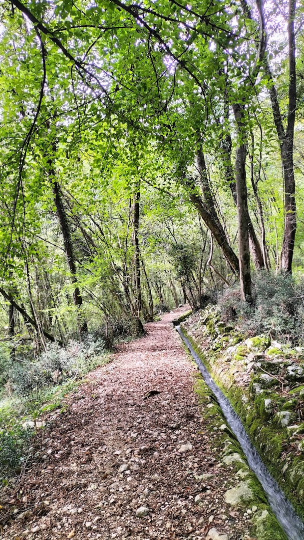 Parco Pinal, Budoia
