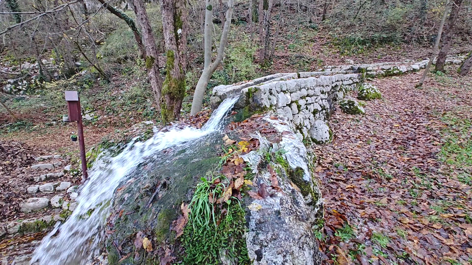 Parco Pinal
