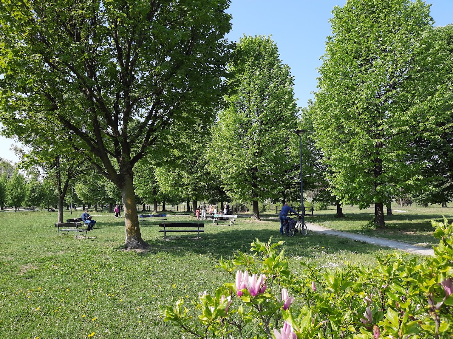 Parco Porporati