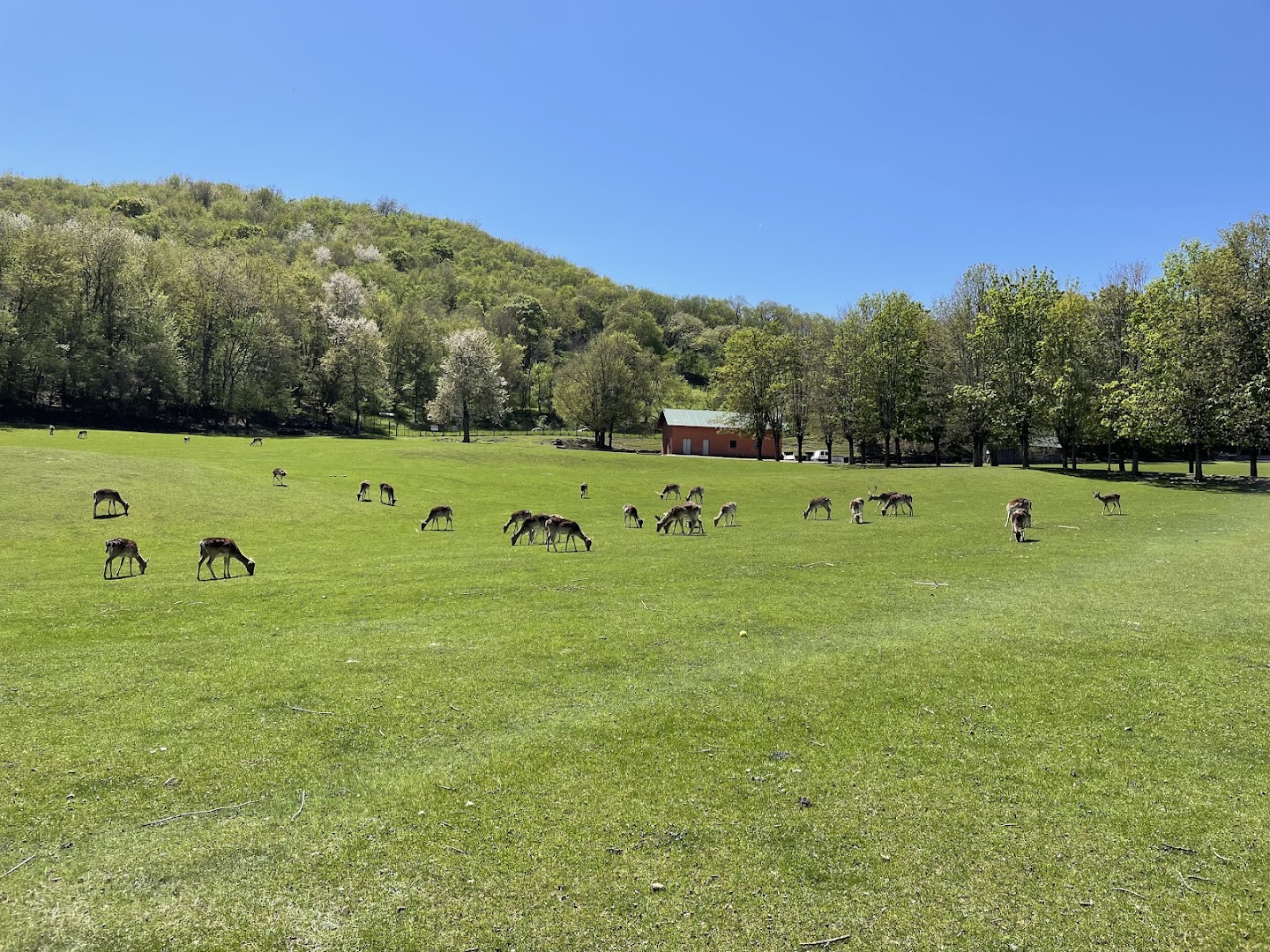 Parco Provinciale Monte Fuso