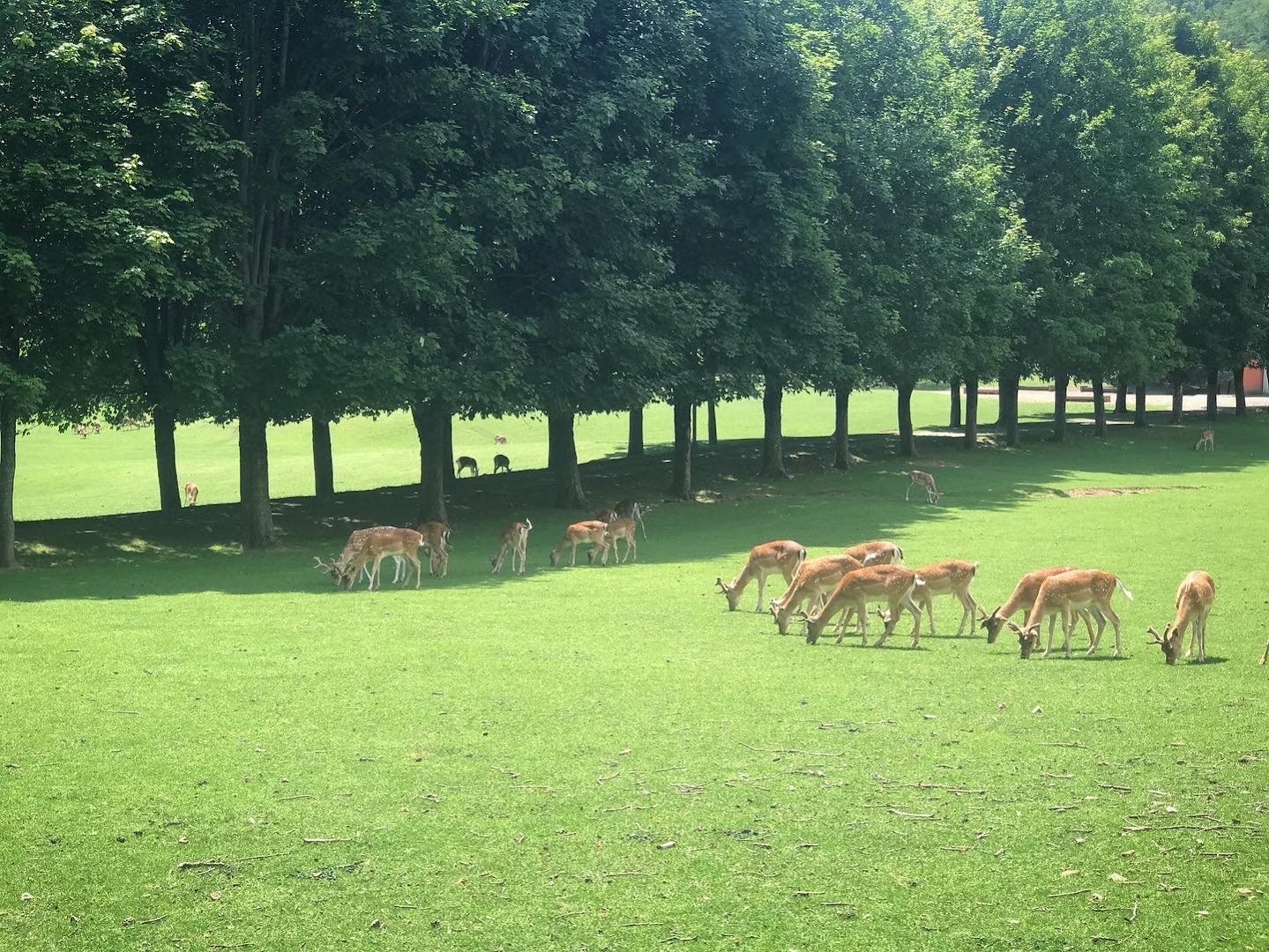 Parco Provinciale Monte Fuso