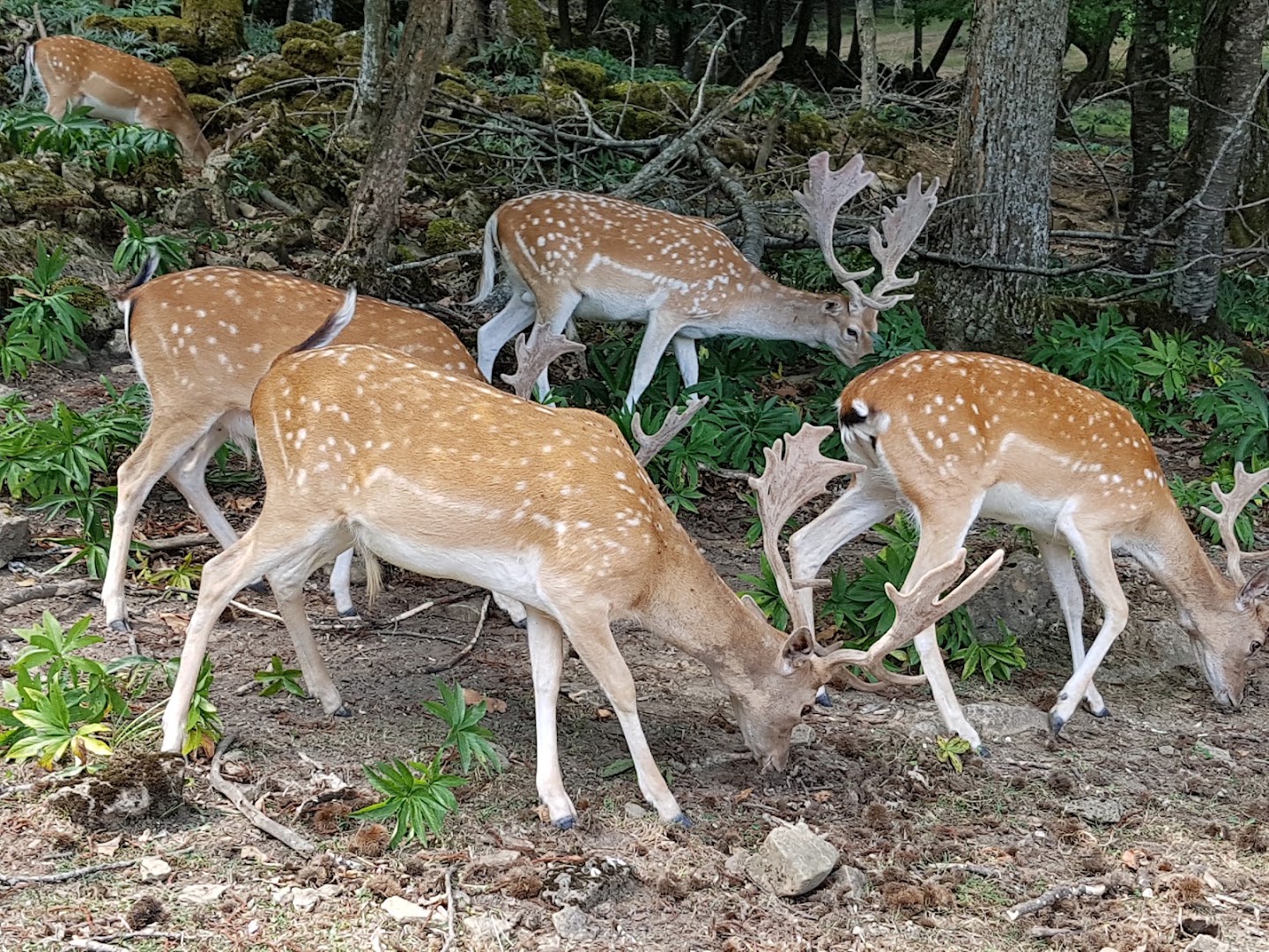 Parco Provinciale Monte Fuso