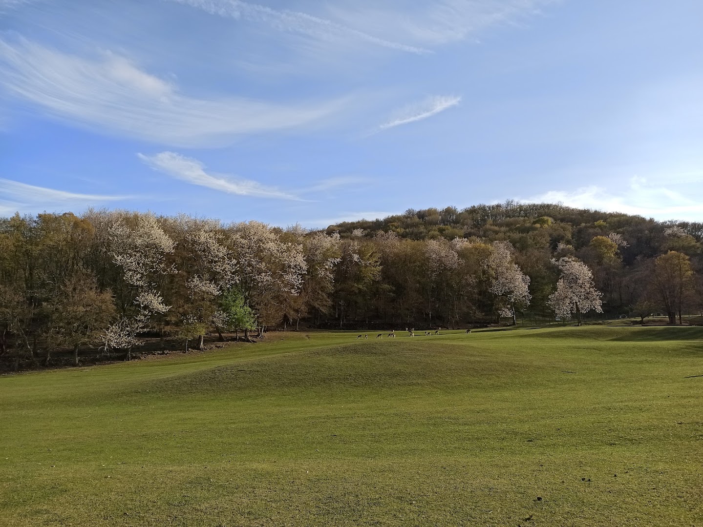 Parco Provinciale Monte Fuso