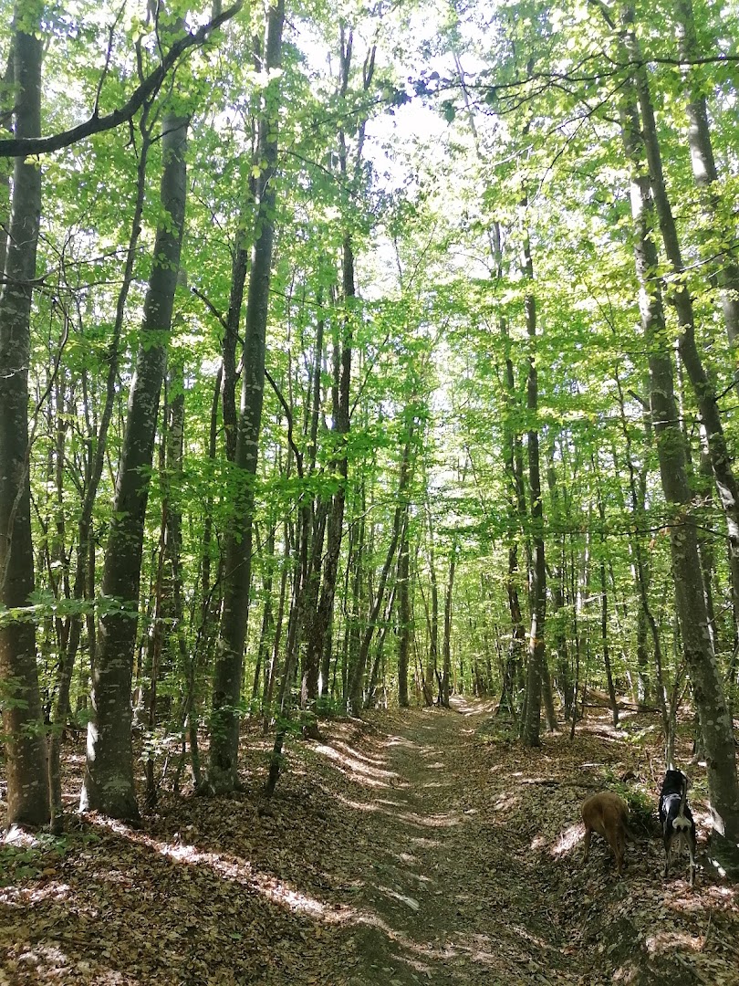 Parco Provinciale Monte Moria