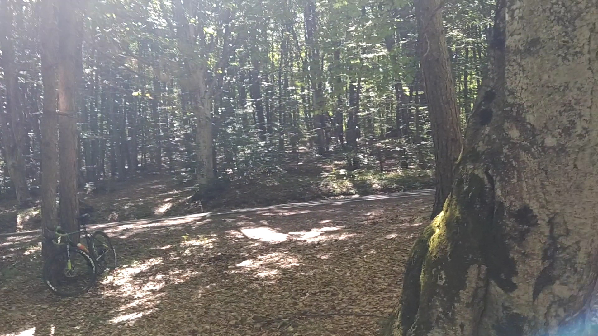 Parco Provinciale Monte Moria