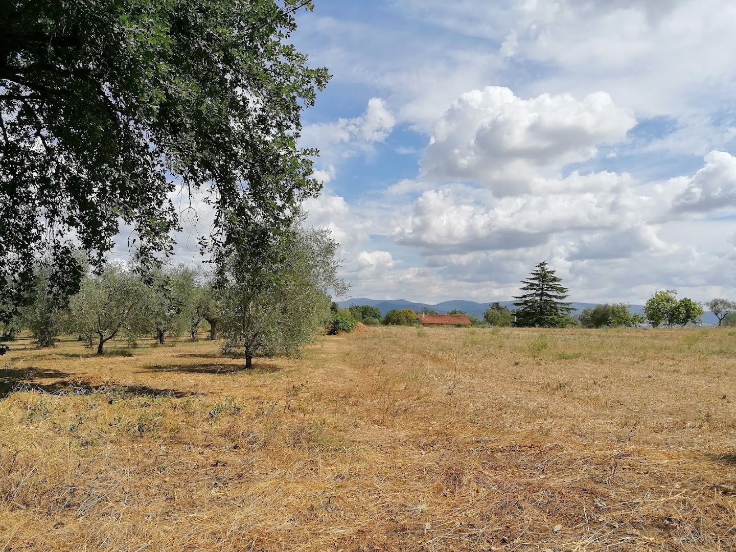 Parco Pubblico Poggio del Castagno