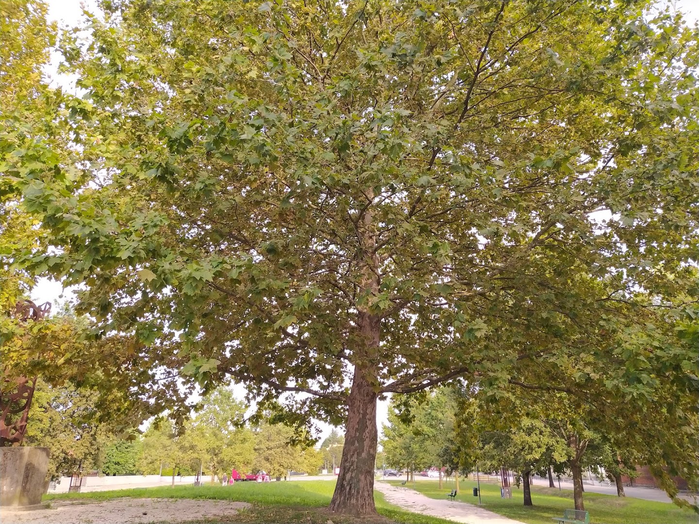 Parco Pubblico, Casier