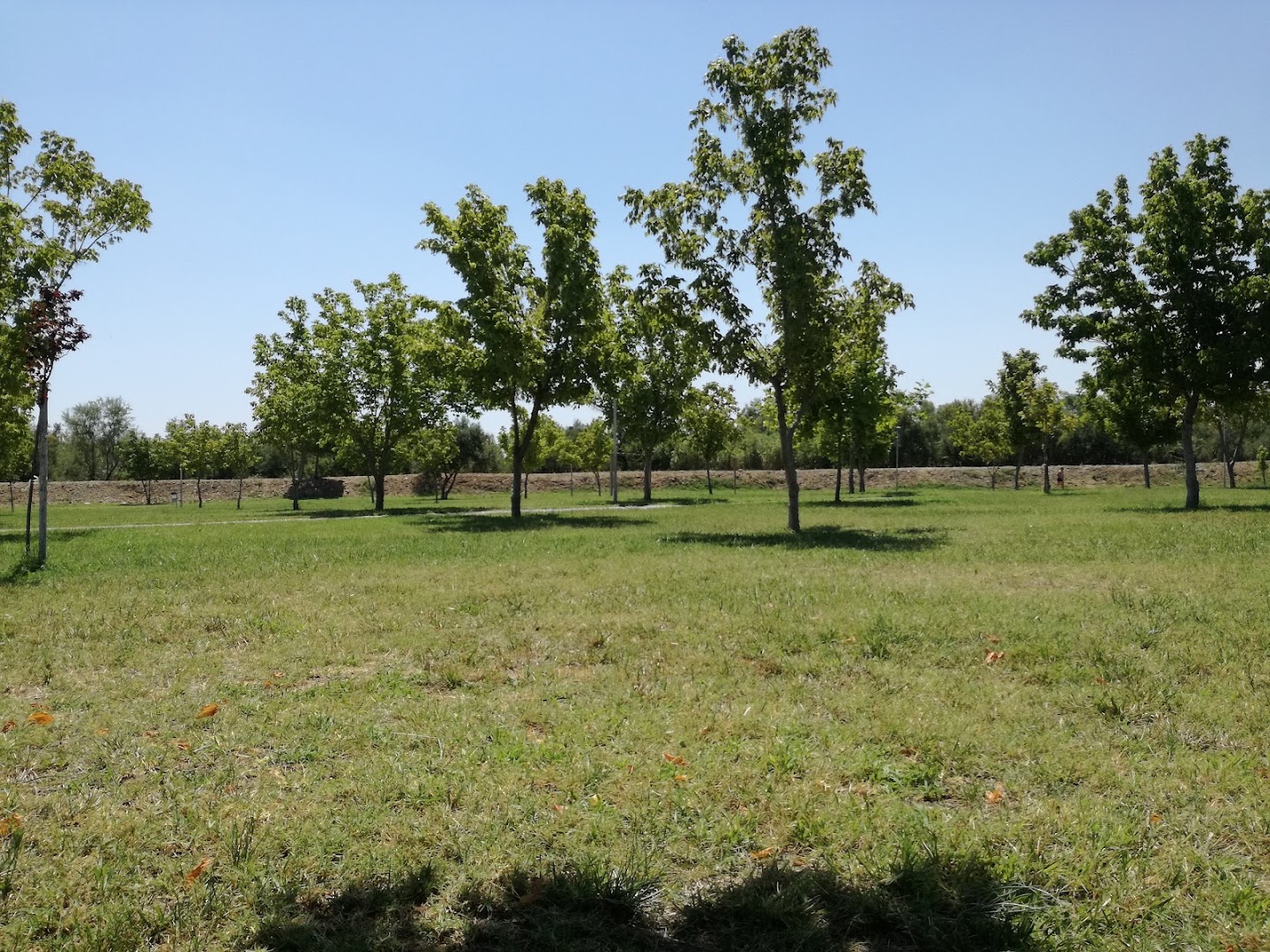 Parco Qualità della Vita