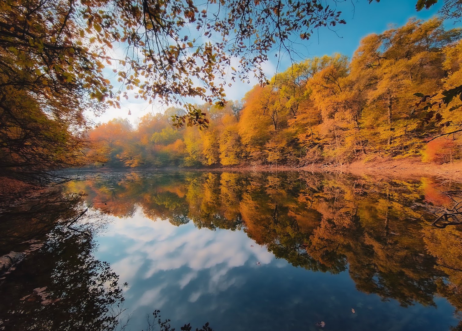 Parco Regionale Boschi di Carrega