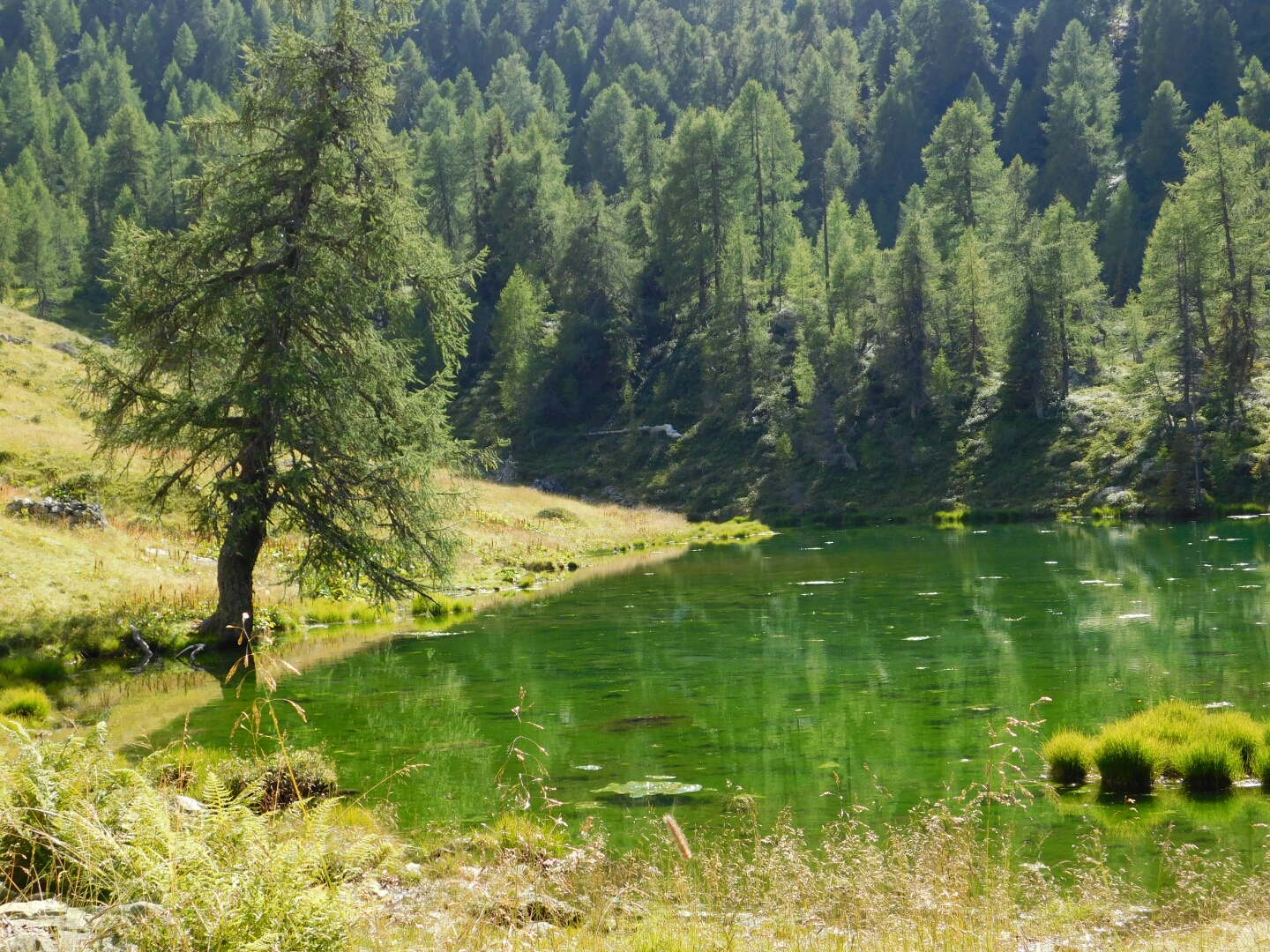 Parco Regionale delle Orobie Valtellinesi