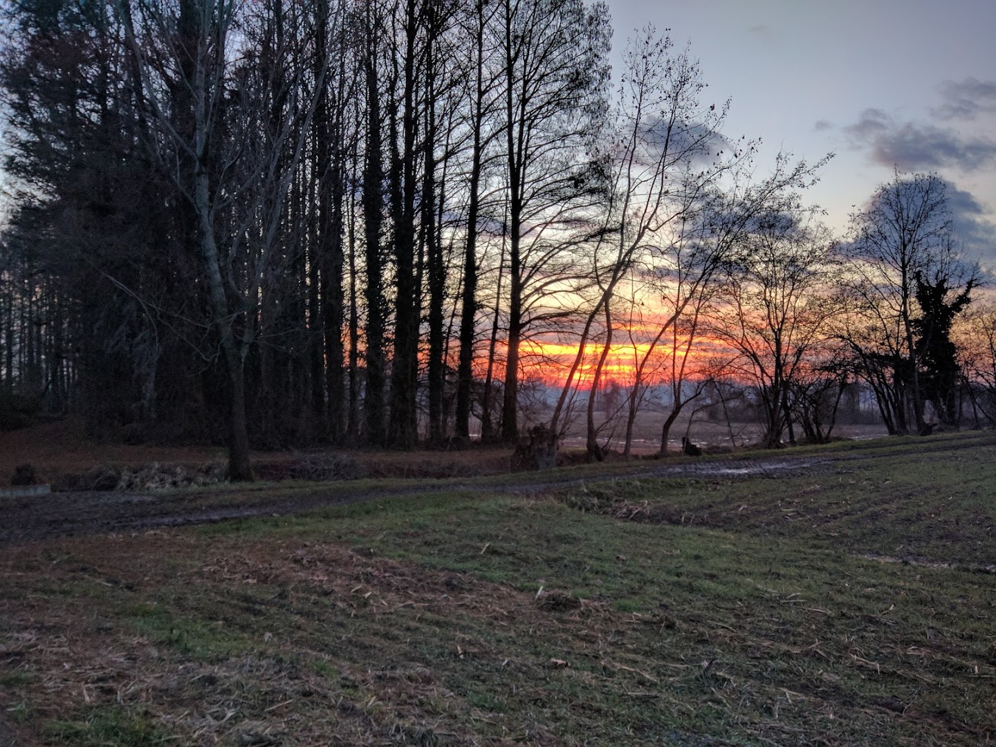 Parco Regionale dell'Oglio Sud, Calvatone