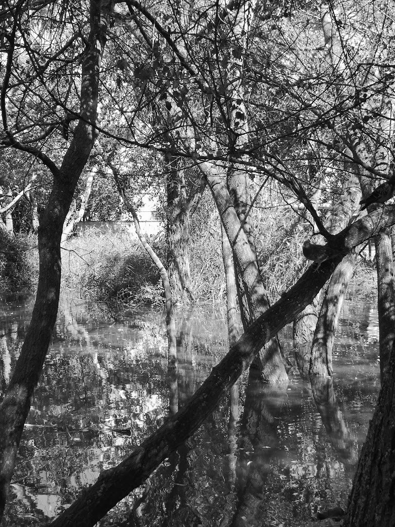 Parco Sabucchi, Pescara