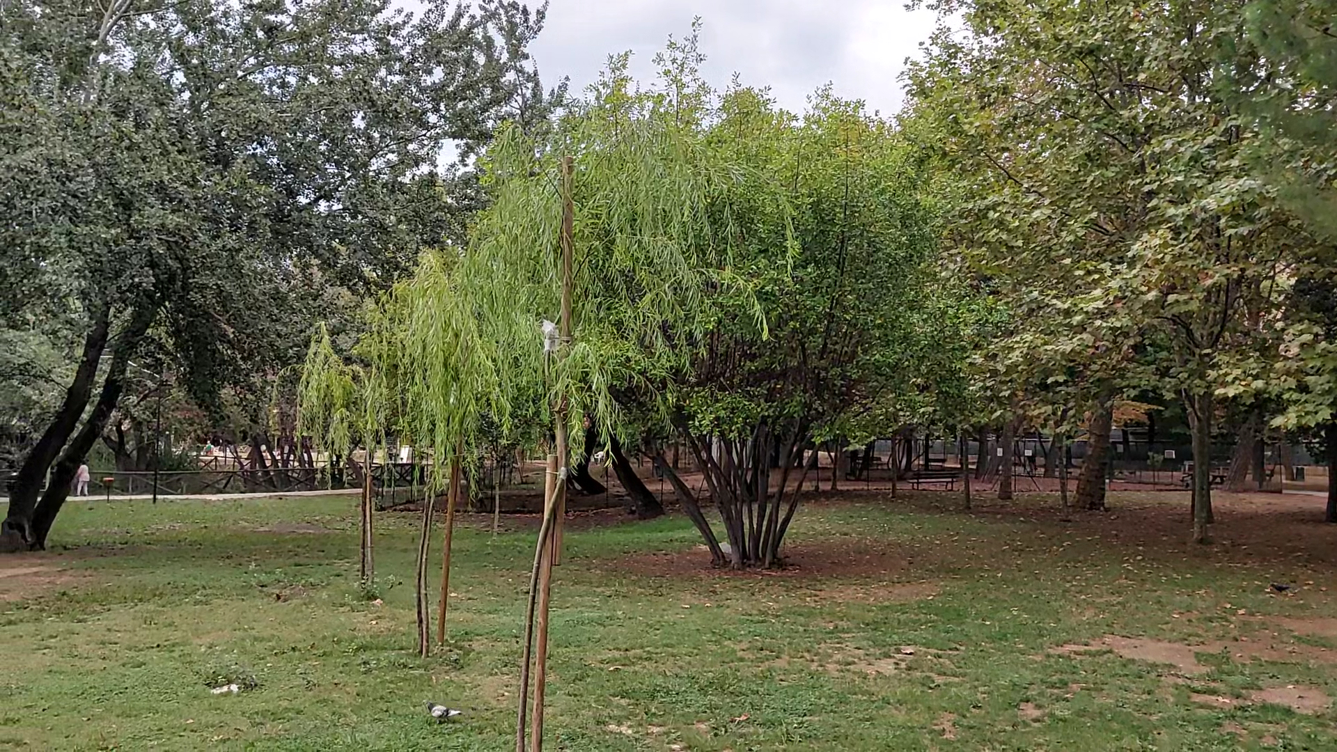 Parco Sabucchi