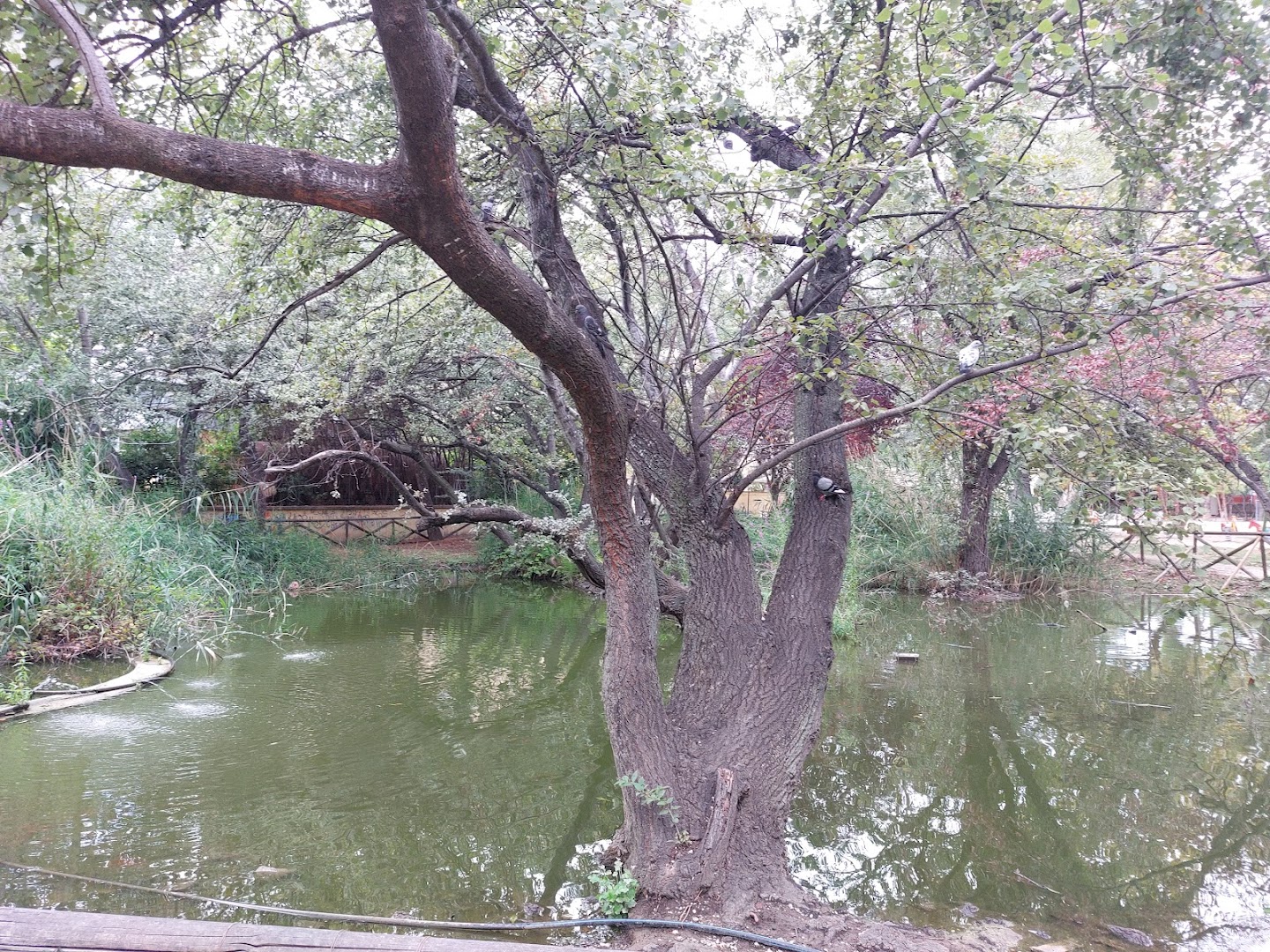 Parco Sabucchi