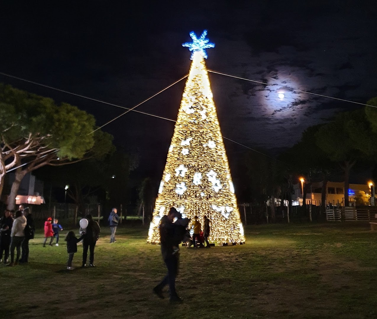 Parco Saffi 22