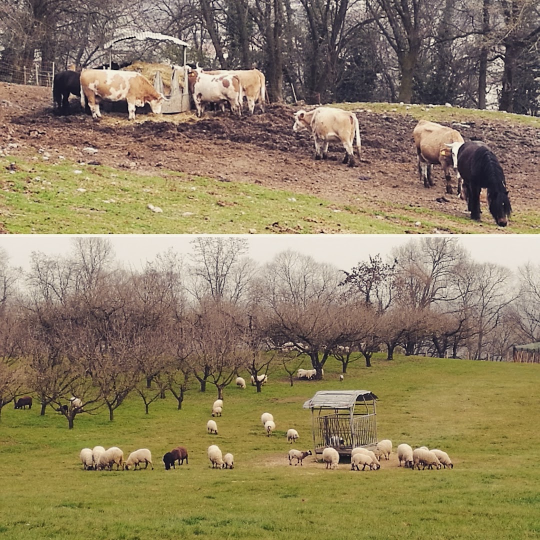Parco San Floriano