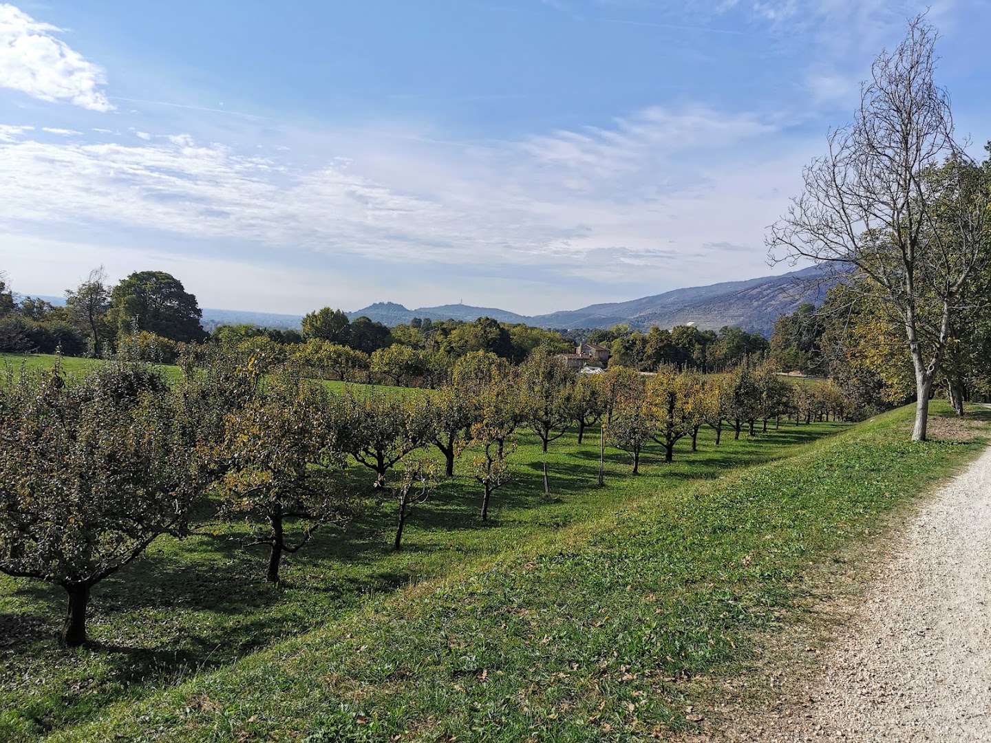 Parco San Floriano