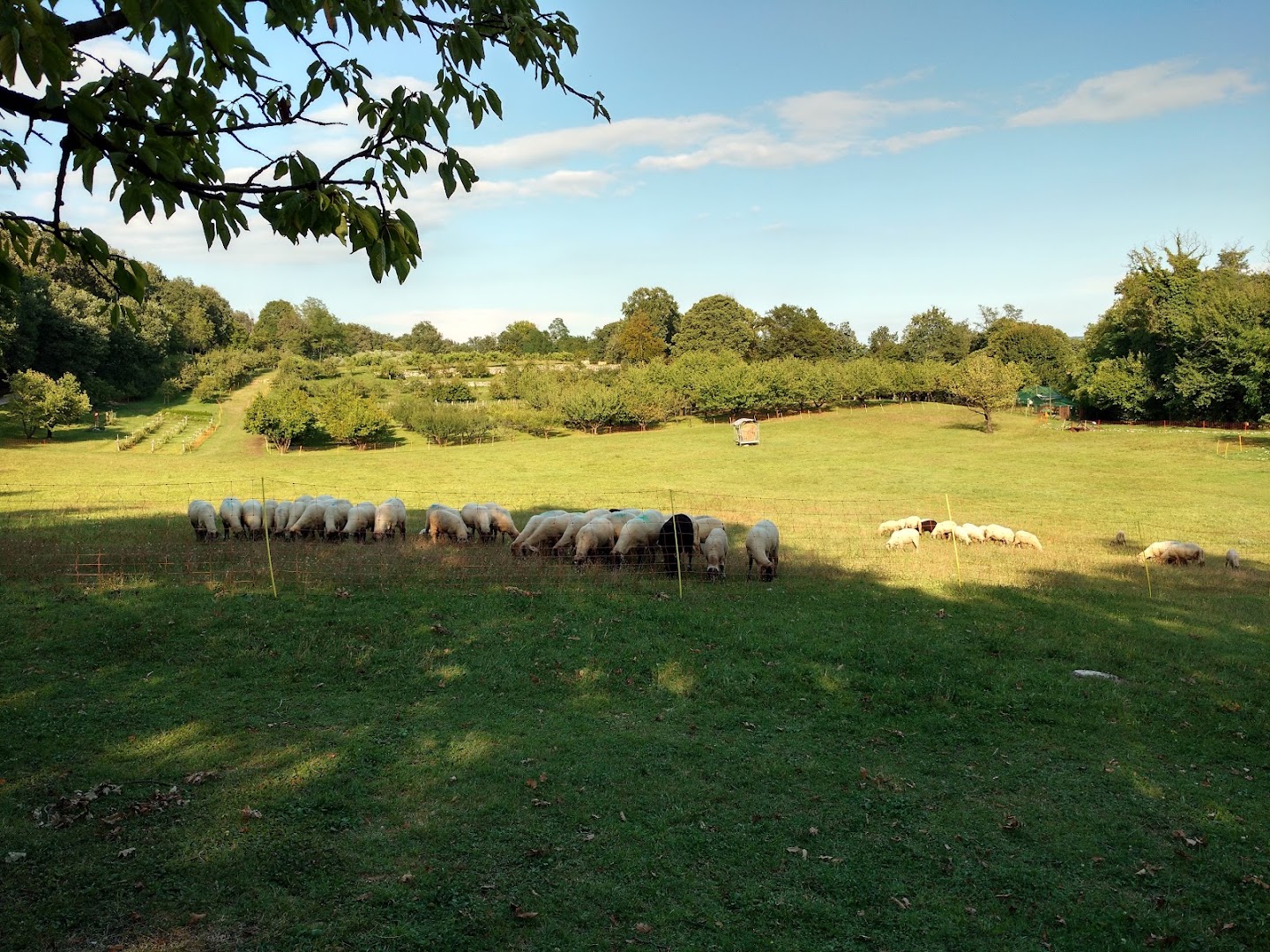 Parco San Floriano