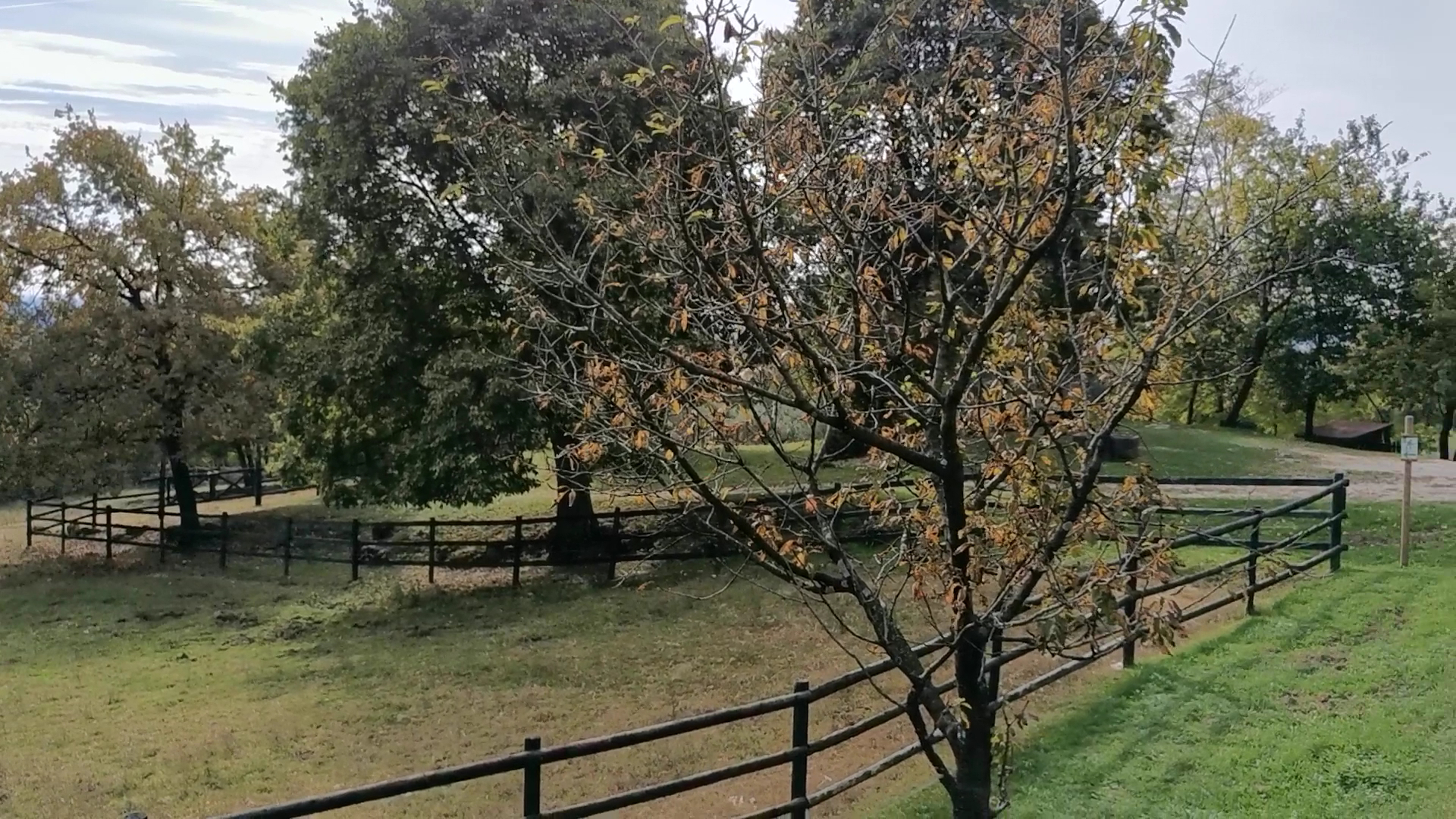 Parco San Floriano