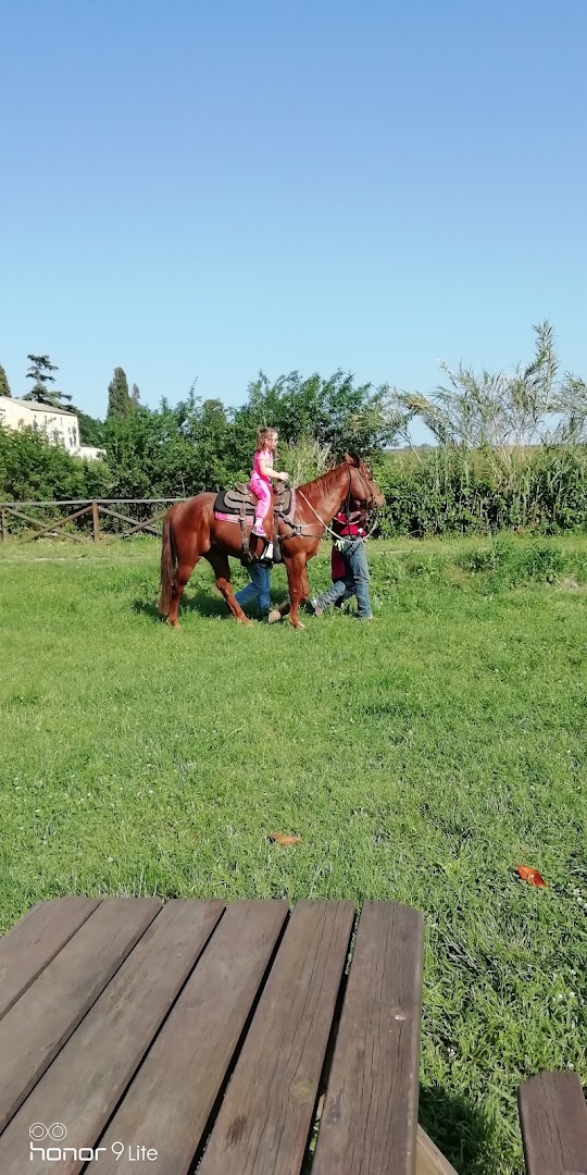 Parco San Pietro in Carpignano