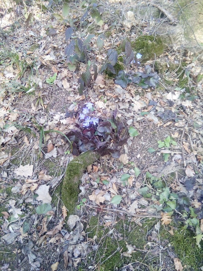 Parco Sant'Uberto